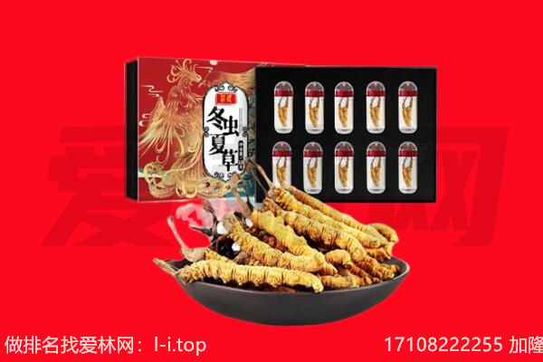 鲤城区回收虫草.jpg